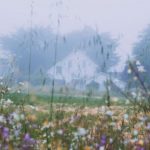 Eco Village - Rural house behind blossoming flowers growing on grassy meadow in early foggy morning